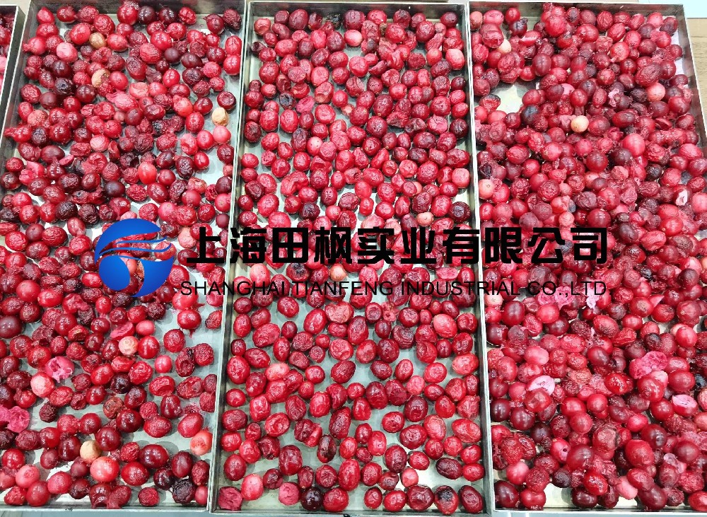 蔓越莓凍干：水果真空冷凍干燥機應用